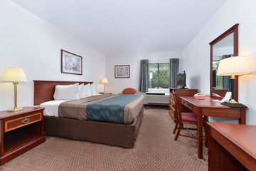 Lodge Econo